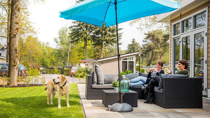 Vakantiehuizen met hond